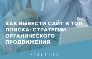 Как вывести сайт в топ поиска: стратегии органического продвижения
